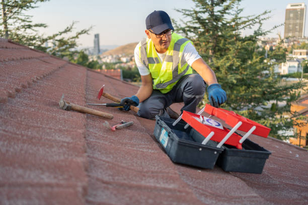 Best Brick Veneer Siding  in Winnetka, IL